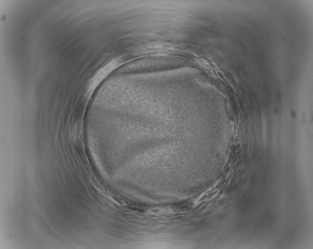 X0000062670099200601041020