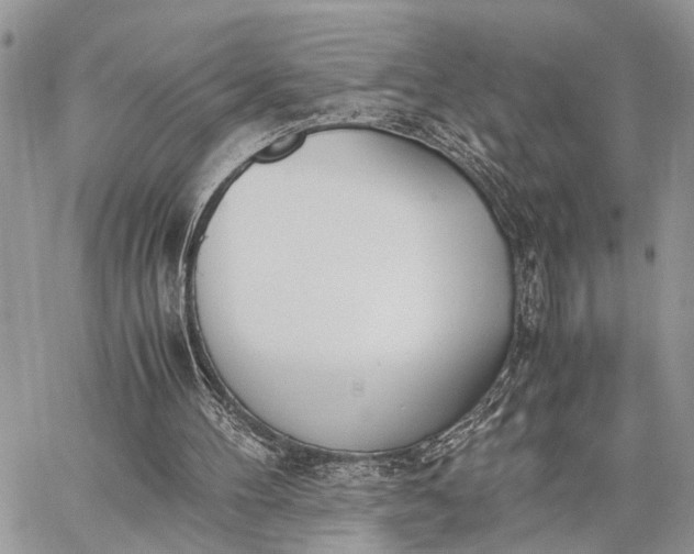 X0000062670100200601041020