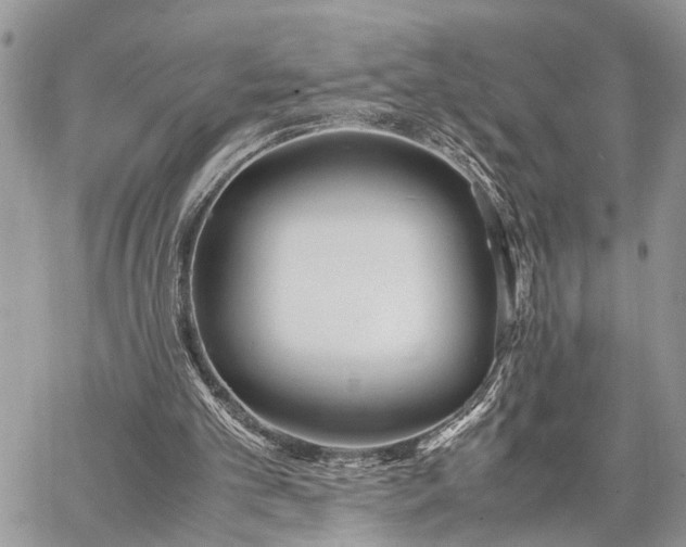 X0000062670101200601041020