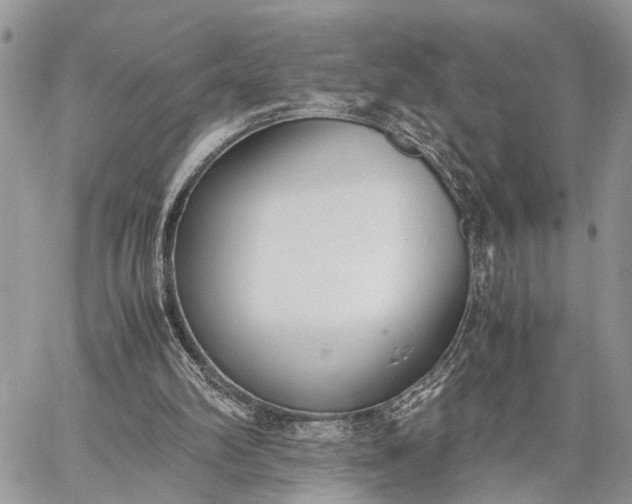 X0000062670102200601041020