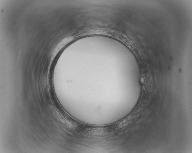 X0000062670104200601041020