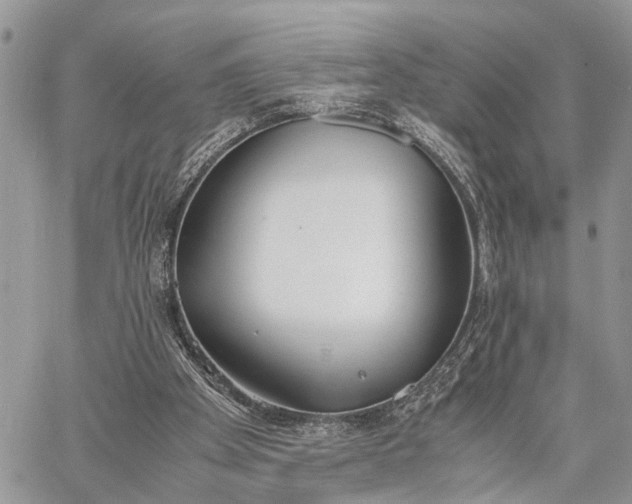 X0000062670105200601041020