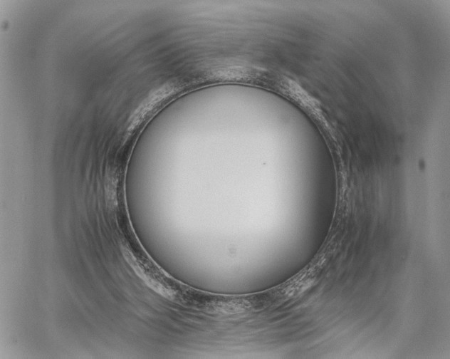 X0000062670106200601041020