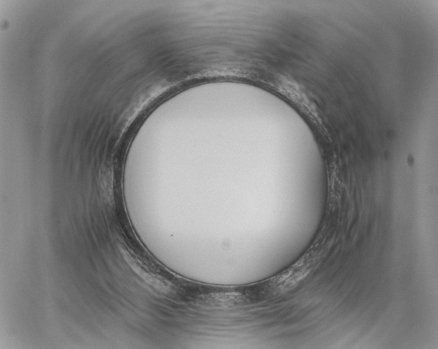 X0000062670108200601041020