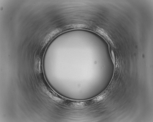 X0000062670110200601041020