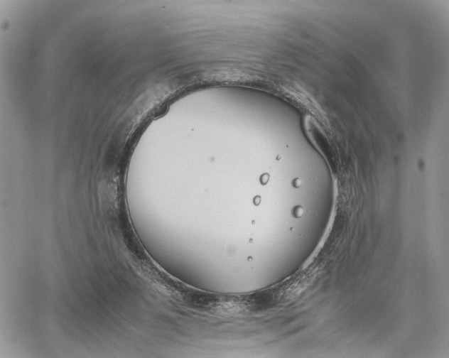 X0000062670111200601041020