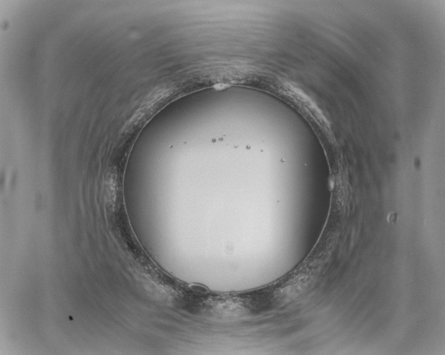 X0000062670113200601041020