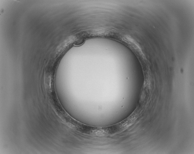 X0000062670115200601041020