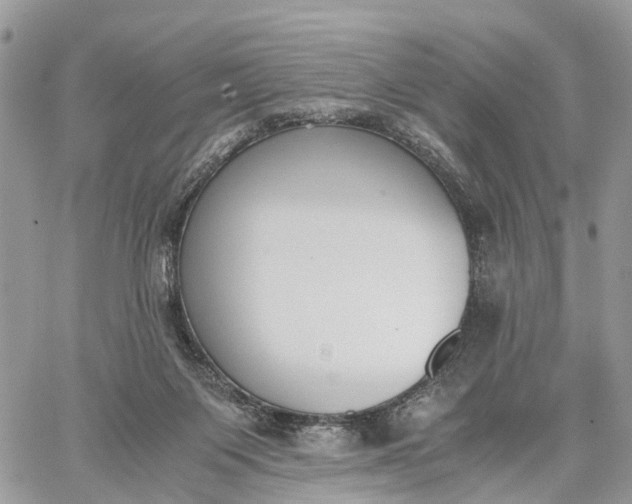 X0000062670119200601041020