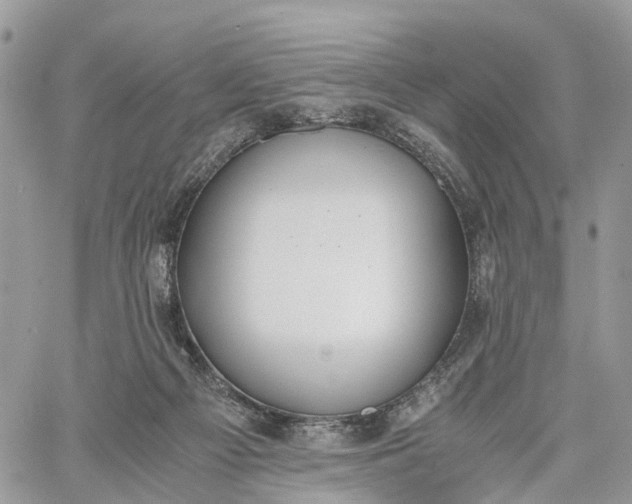 X0000062670121200601041020