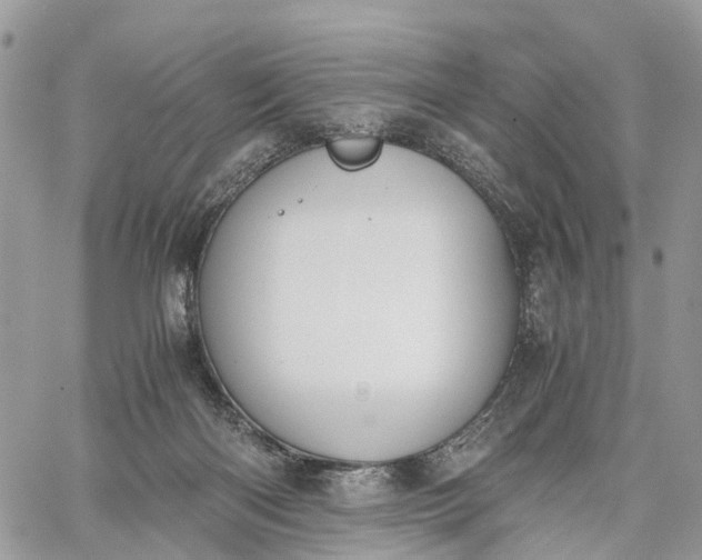 X0000062670122200601041020