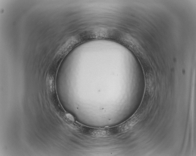 X0000062670123200601041020