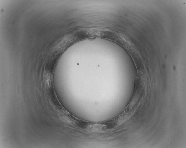 X0000062670125200601041019