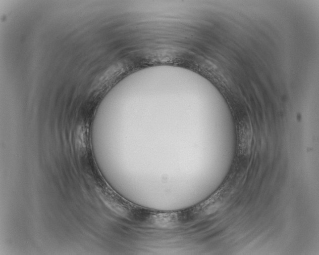 X0000062670126200601041019