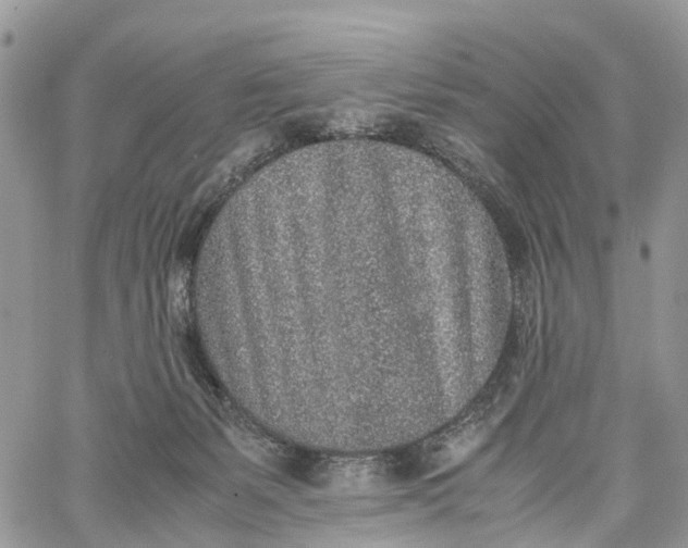 X0000062670127200601041019