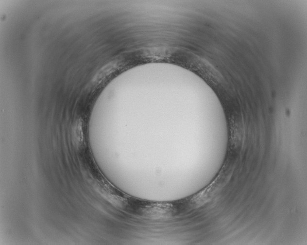 X0000062670128200601041019