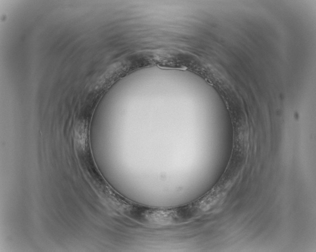 X0000062670129200601041019