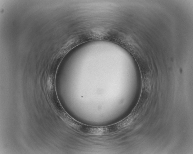 X0000062670131200601041019