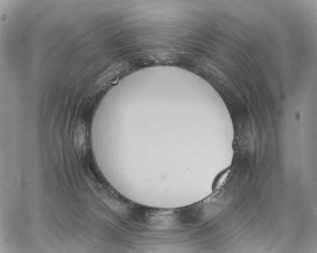 X0000062670132200601041019