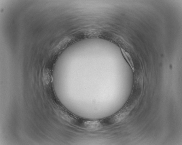 X0000062670133200601041019