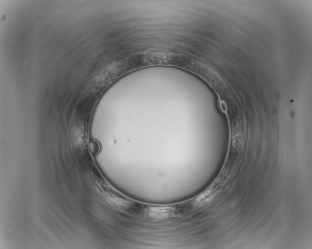 X0000062670134200601041019