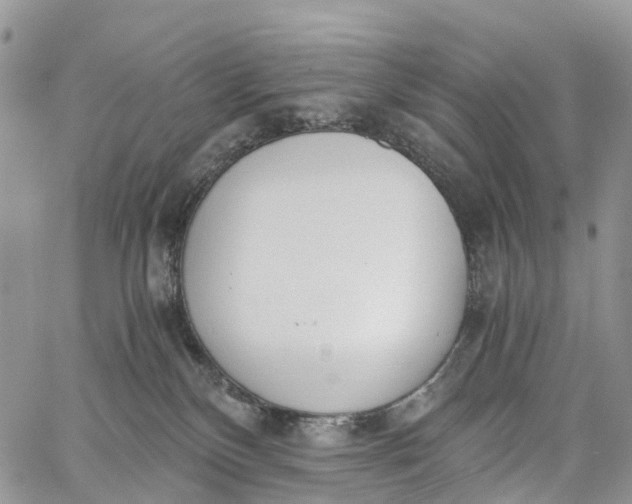 X0000062670136200601041019