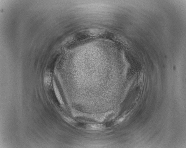 X0000062670137200601041019