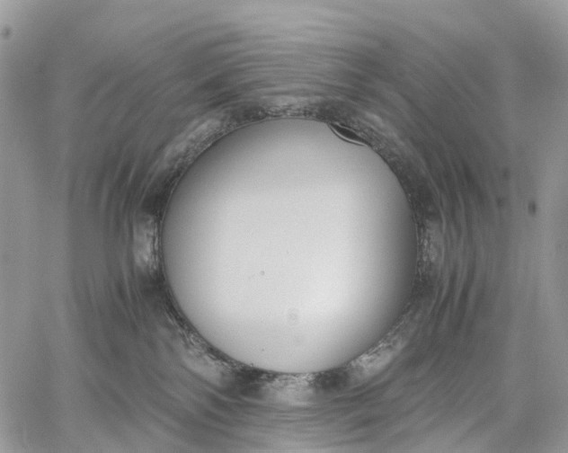 X0000062670138200601041019