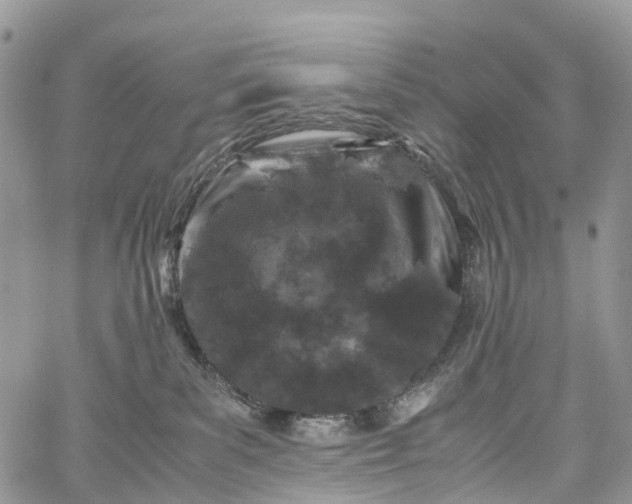 X0000062670139200601041019