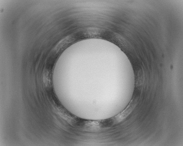 X0000062670140200601041019