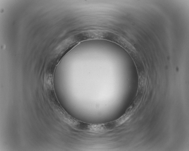 X0000062670141200601041019