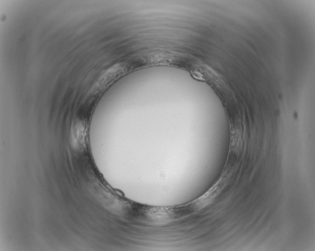 X0000062670142200601041019