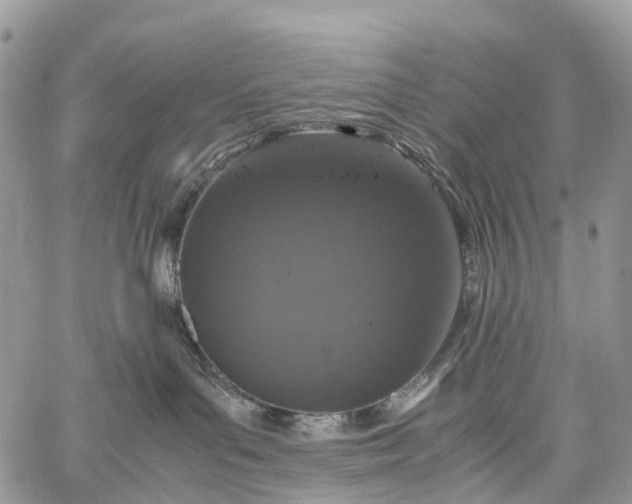 X0000062670143200601041019