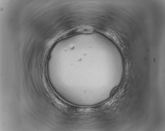 X0000062670145200601041018