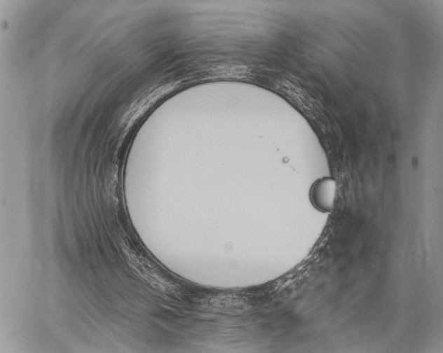 X0000062670146200601041018