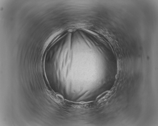 X0000062670147200601041018