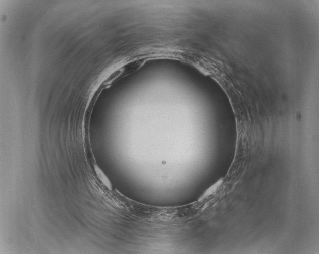 X0000062670148200601041018