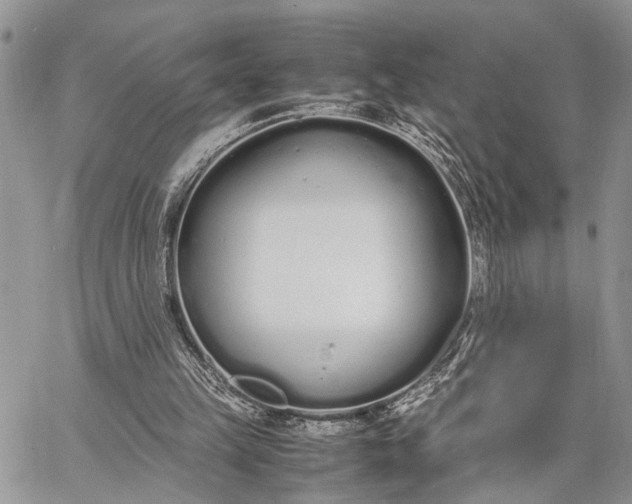 X0000062670149200601041018