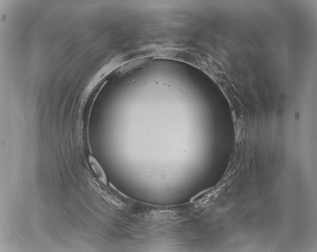 X0000062670150200601041018