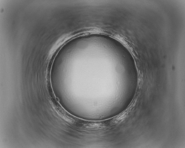 X0000062670151200601041018