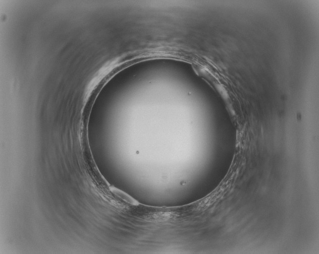 X0000062670152200601041018