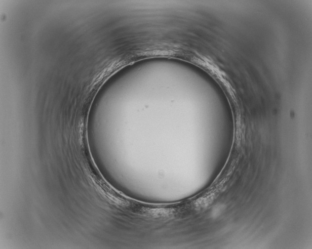 X0000062670153200601041018