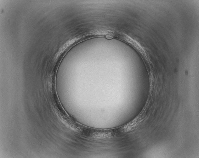 X0000062670155200601041019