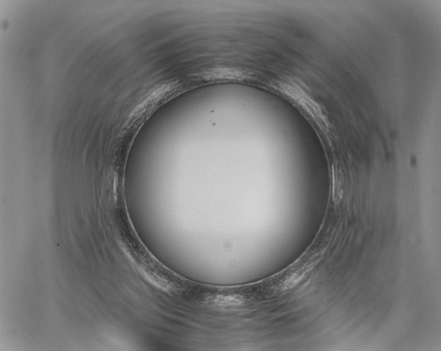 X0000062670157200601041019