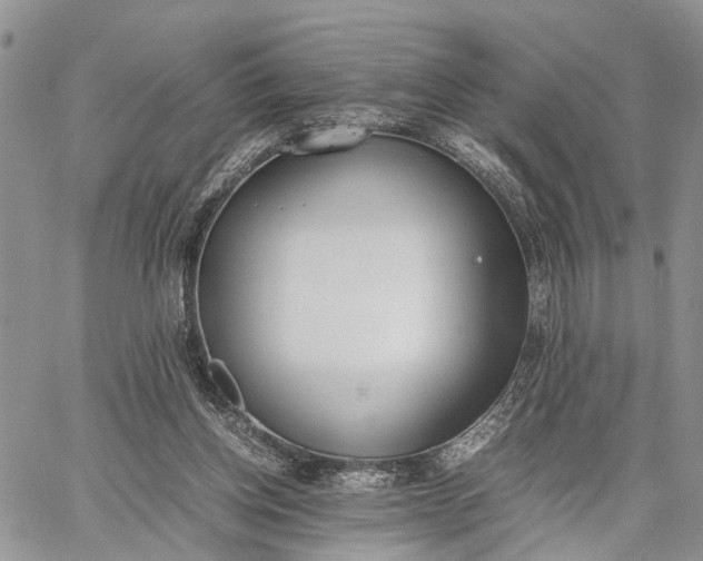 X0000062670158200601041019