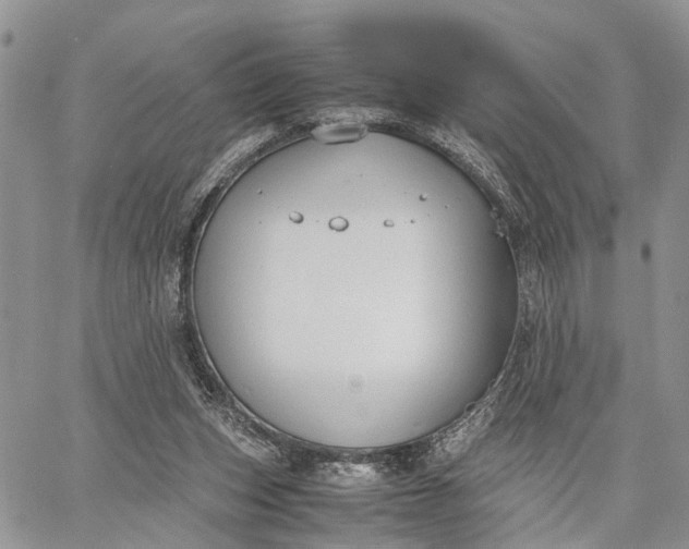 X0000062670159200601041019