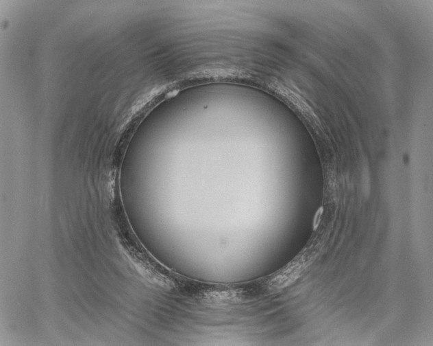 X0000062670160200601041019