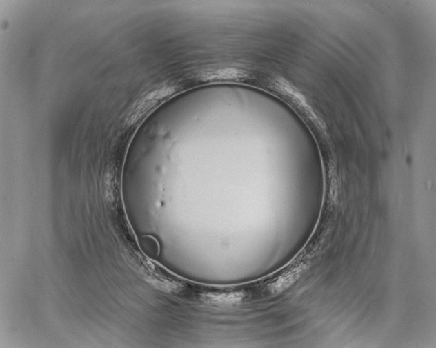 X0000062670161200601041019