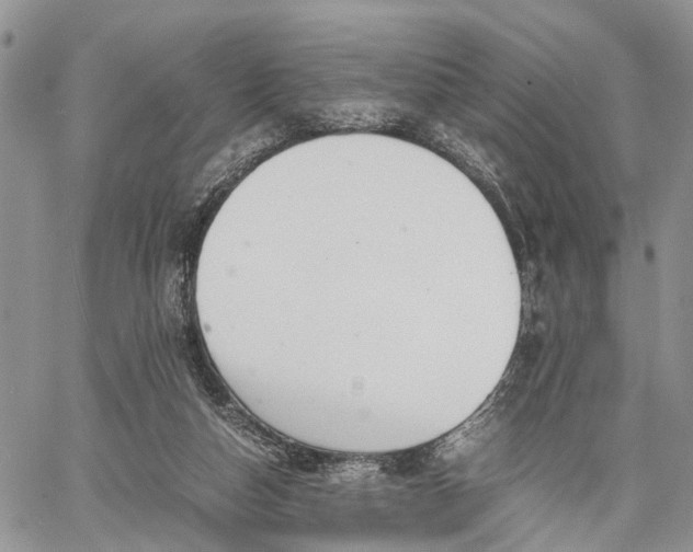 X0000062670162200601041019