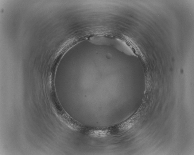 X0000062670163200601041019